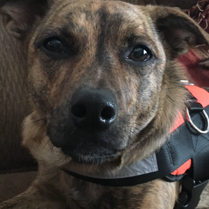 Fundraising Page: Tiffany Costa